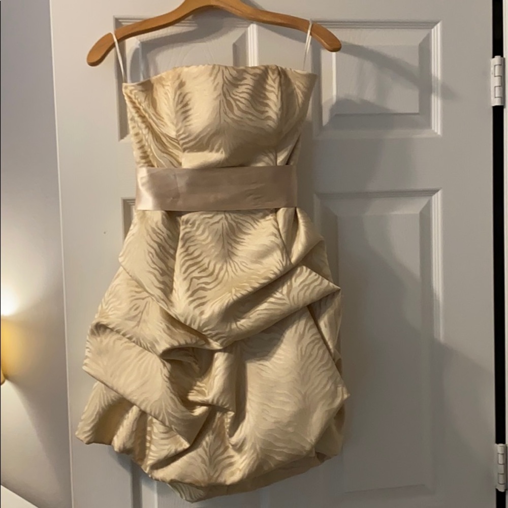 Jessica McClintok Cocktail Dress